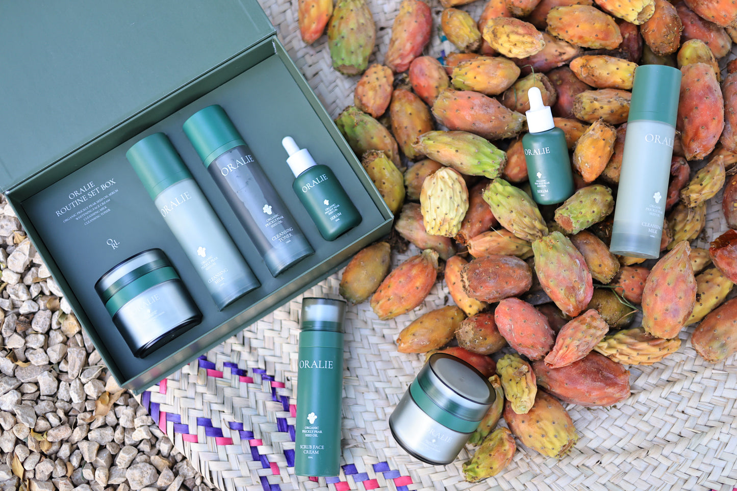 مجموعة روتين التين الشوكي