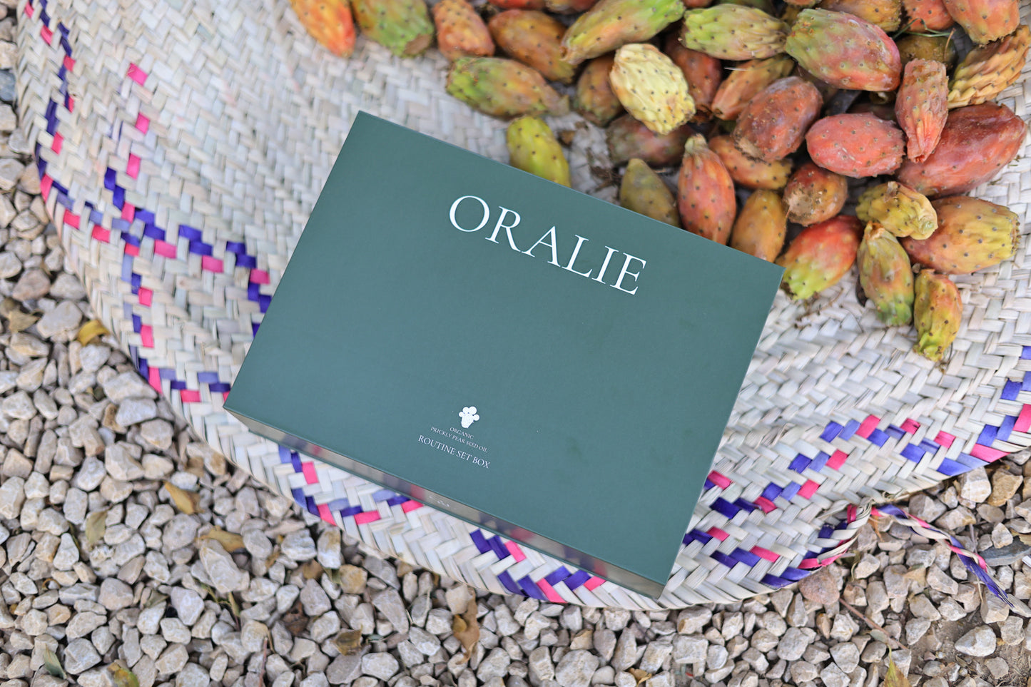 مجموعة روتين التين الشوكي